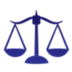 Net Asset value Icon